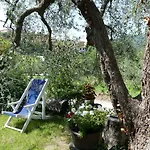 La Vigna *