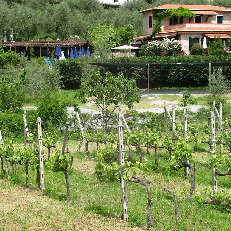 La Vigna *