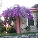 La Vigna