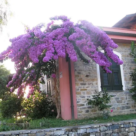 La Vigna
