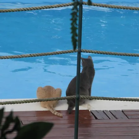 La Vigna Alojamento de Turismo Rural *