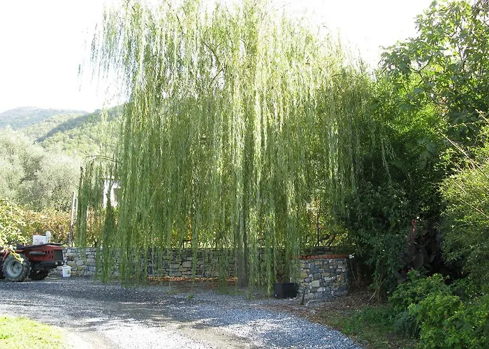 La Vigna مزرعة للإقامة Chiusanico