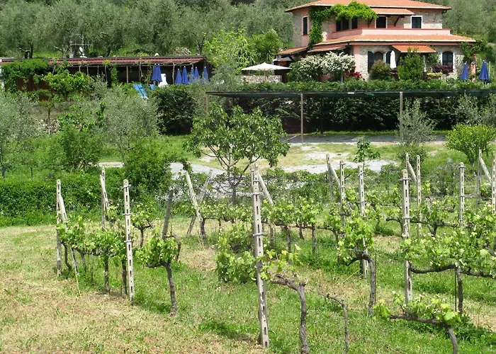 La Vigna *
